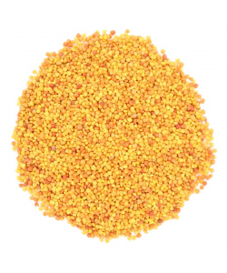 klever_bel