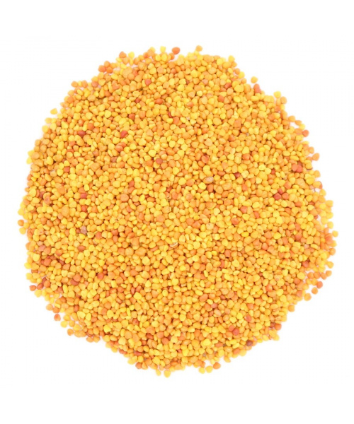 klever_bel